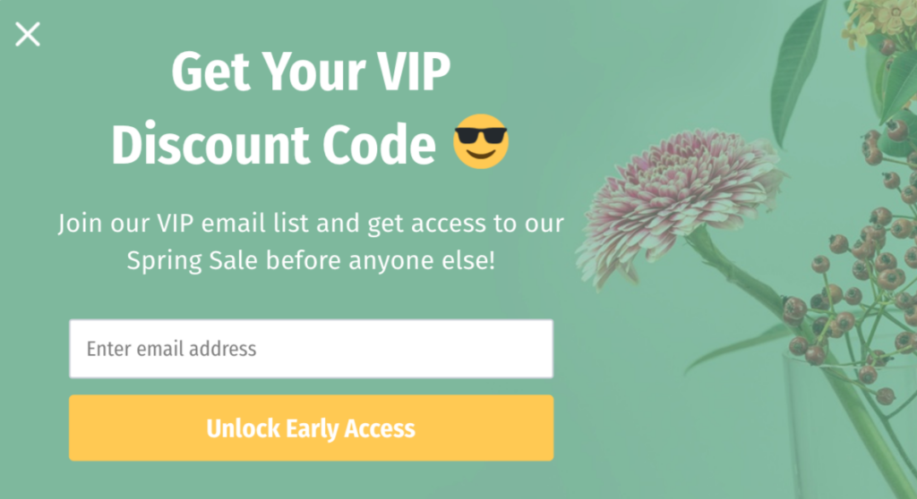 discount code popup