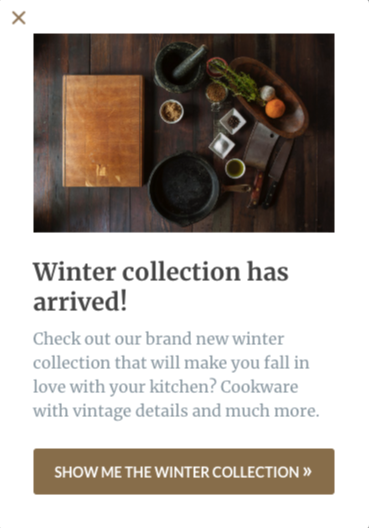 winter collection popup