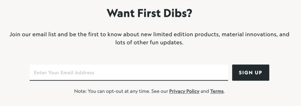 Allbirds embedded newsletter