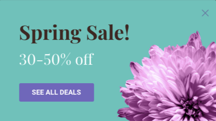 limited-time promotion popup