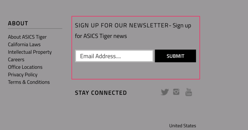 ASICS Tiger newsletter
