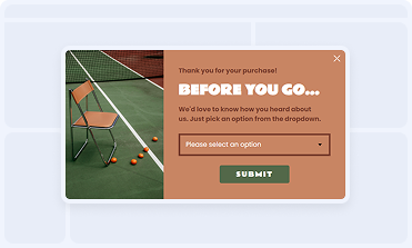 Feedback form Black Friday popup