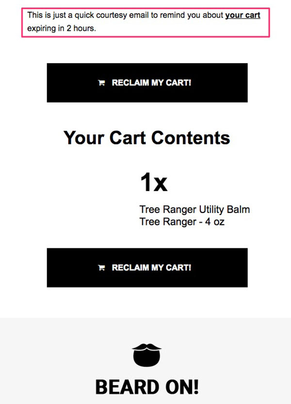 Beardbrand Follow-Up Email 3