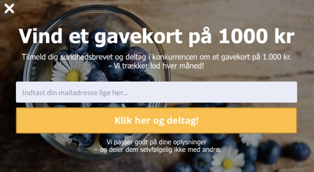 How Firtal Web Generated Leads Image 2