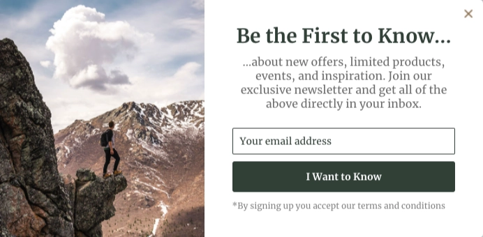 Template - Collect Emails - Email Newsletter Value