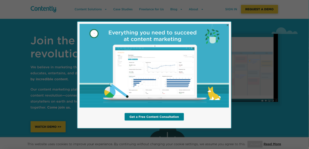 Contently Free Content Consultation