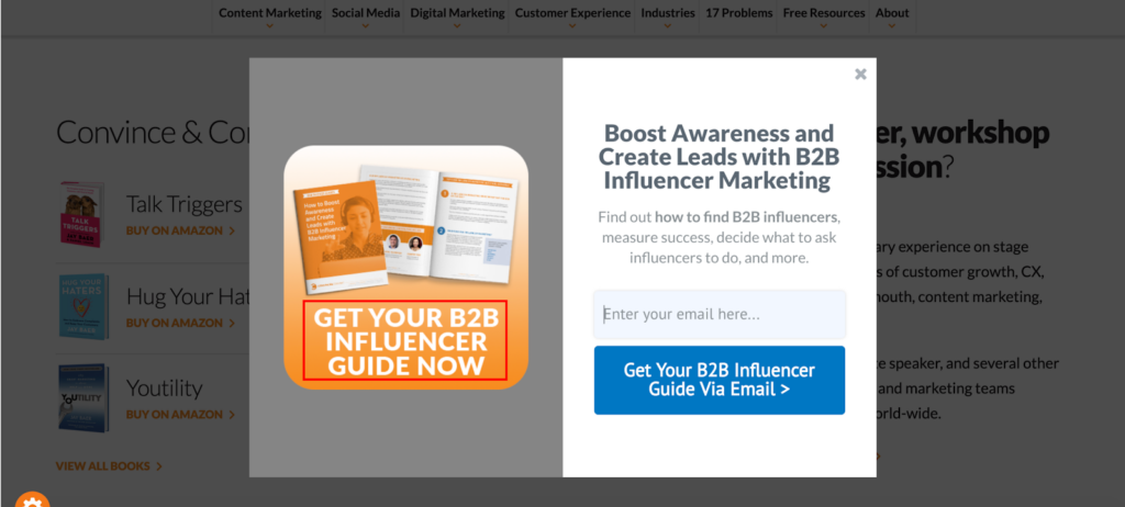B2b influencer guide popup