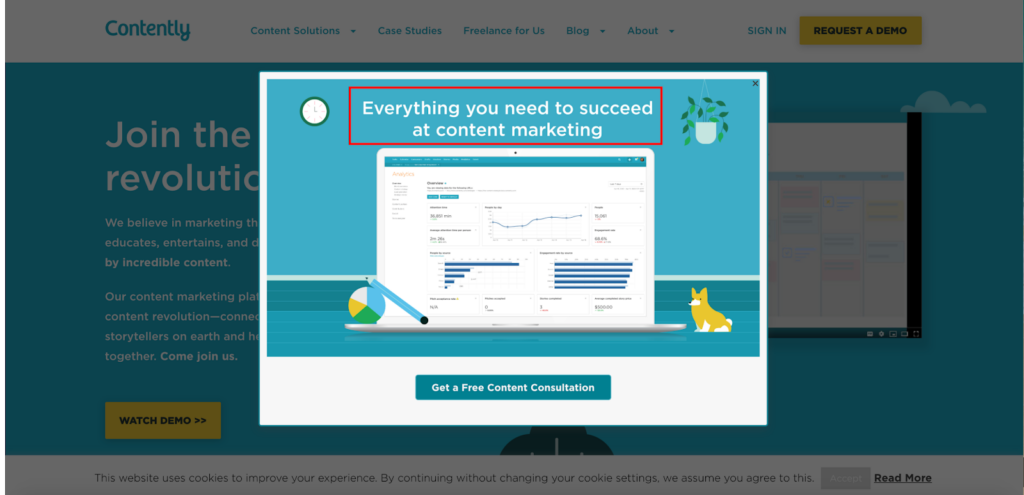 Contently Free Content Consultation