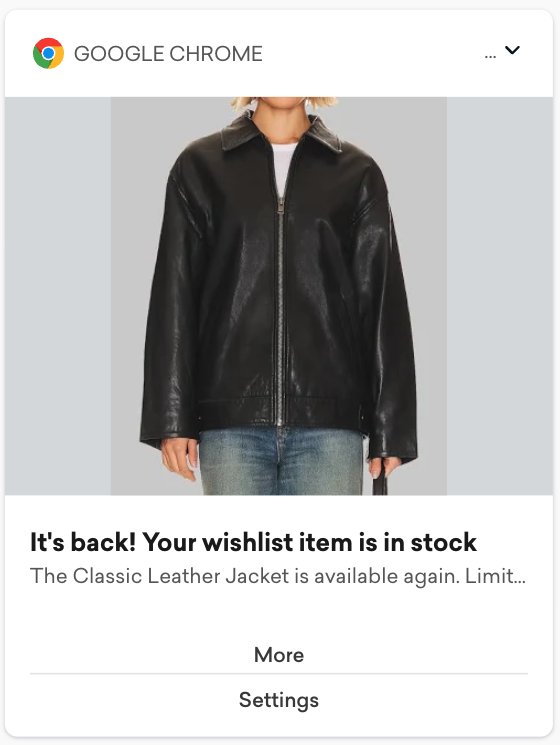 back in stock web push notification type