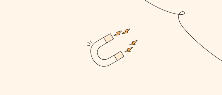 Lead Magnet Examples