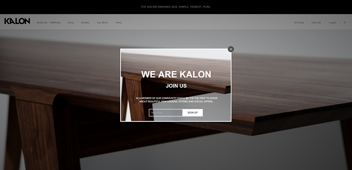 Kalon Studio vip lead magnet