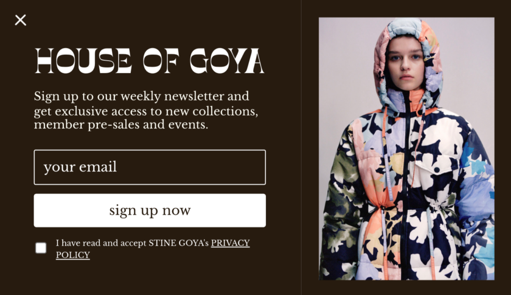 Stine Goya vip lead magnet