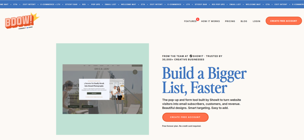 The list bulding tool BDOW!'s homepage